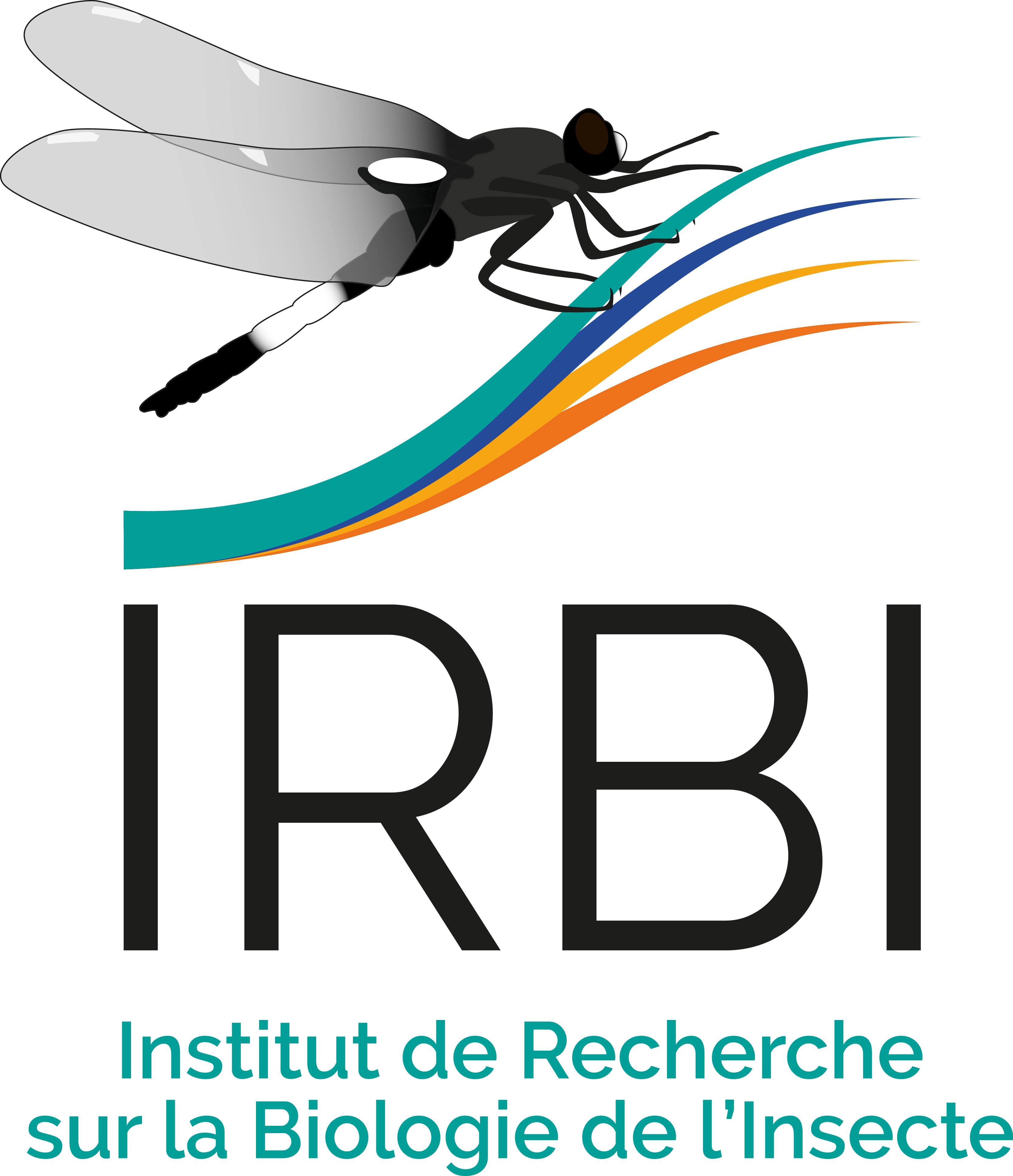 irbi tours